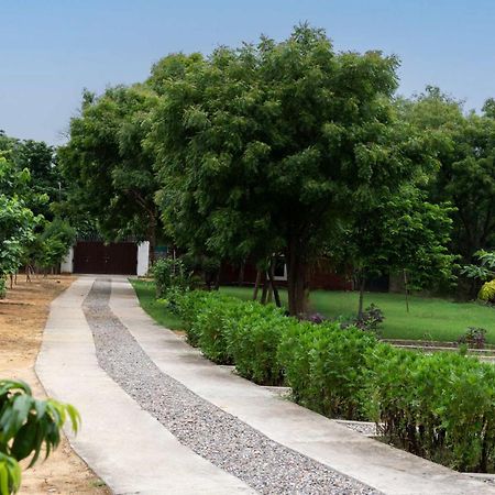 Stayvista At Idyllic Farmhouse - A Glasshouse With Outdoor Pool Gurgaon Eksteriør bilde