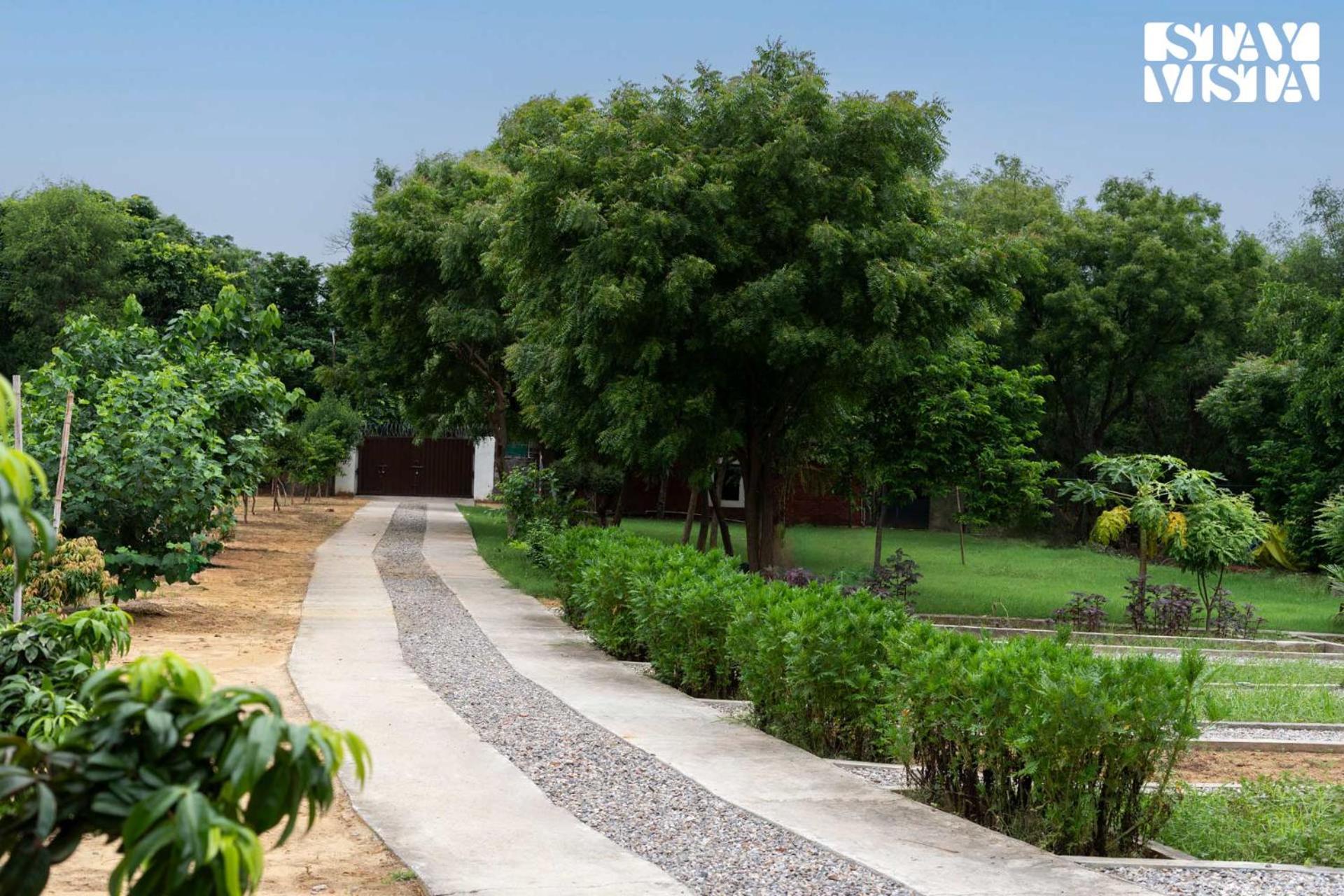 Stayvista At Idyllic Farmhouse - A Glasshouse With Outdoor Pool Gurgaon Eksteriør bilde